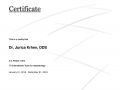 ITI Fellow 2016 Certificate - Jurica Krhen